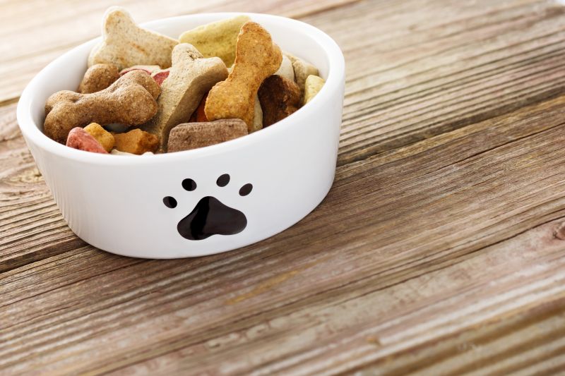 Dog food in a bowl on wooden table